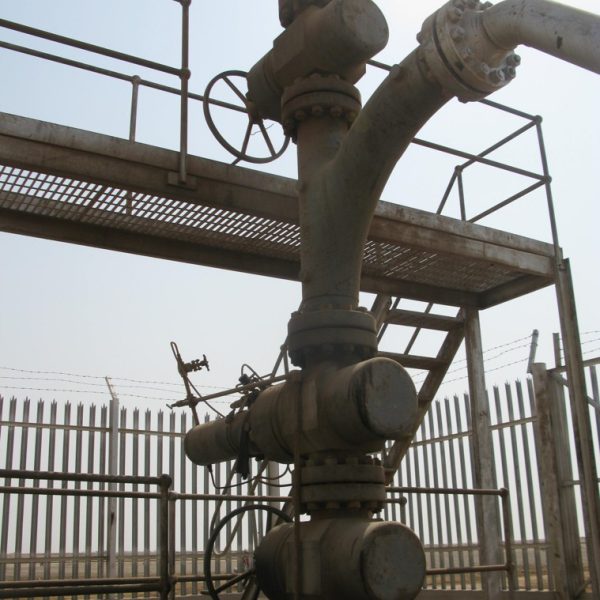 Wellhead2